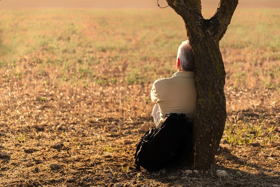Paralyzing Anxiety:  Flight-or-Flight’s Brother, Freeze